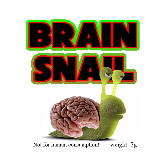 BrainSnail
