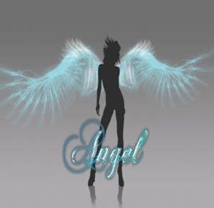 Angel 2g